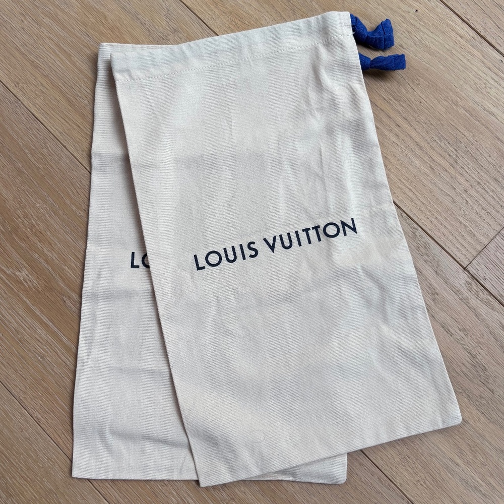 Louis Vuitton Shoe Bags